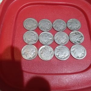 Rare No Date  Buffalo Head Nickels 12 Total Coins